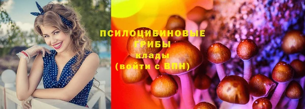 MDMA Елизово