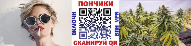 Бошки Шишки планчик  Купить  Егорьевск 