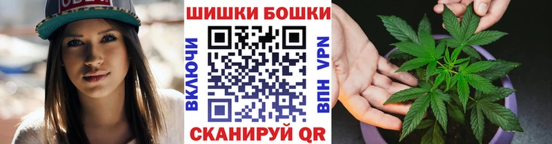 Бошки Шишки план Егорьевск